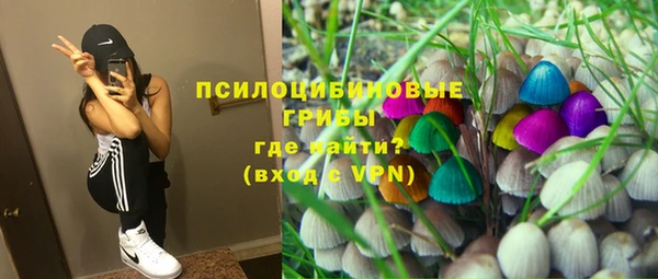 амф Алексин