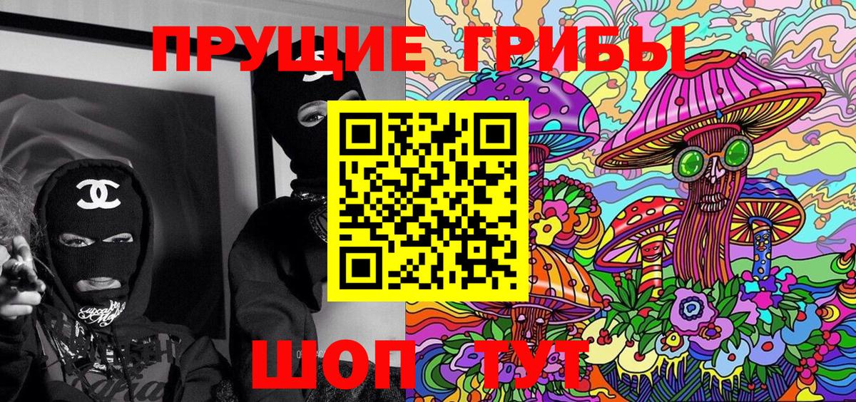 Псилоцибиновые грибы Psilocybine cubensis Дзержинск