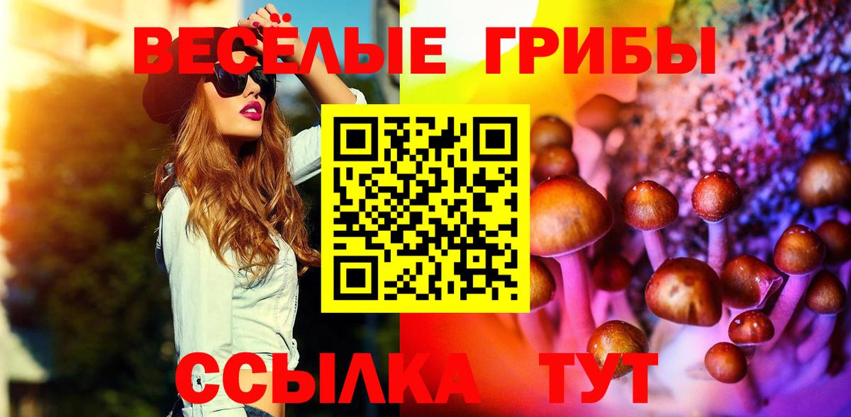 Дзержинск  Псилоцибиновые грибы Magic Shrooms  Вход с VPN  купить закладку  Псилоцибиновые грибы Psilocybe 